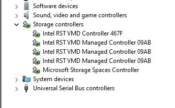 Leistungsmonitor: Ein Gerät hat den Status Nicht OK gemeldet (Intel RST VMD Managed Controller 09AB)