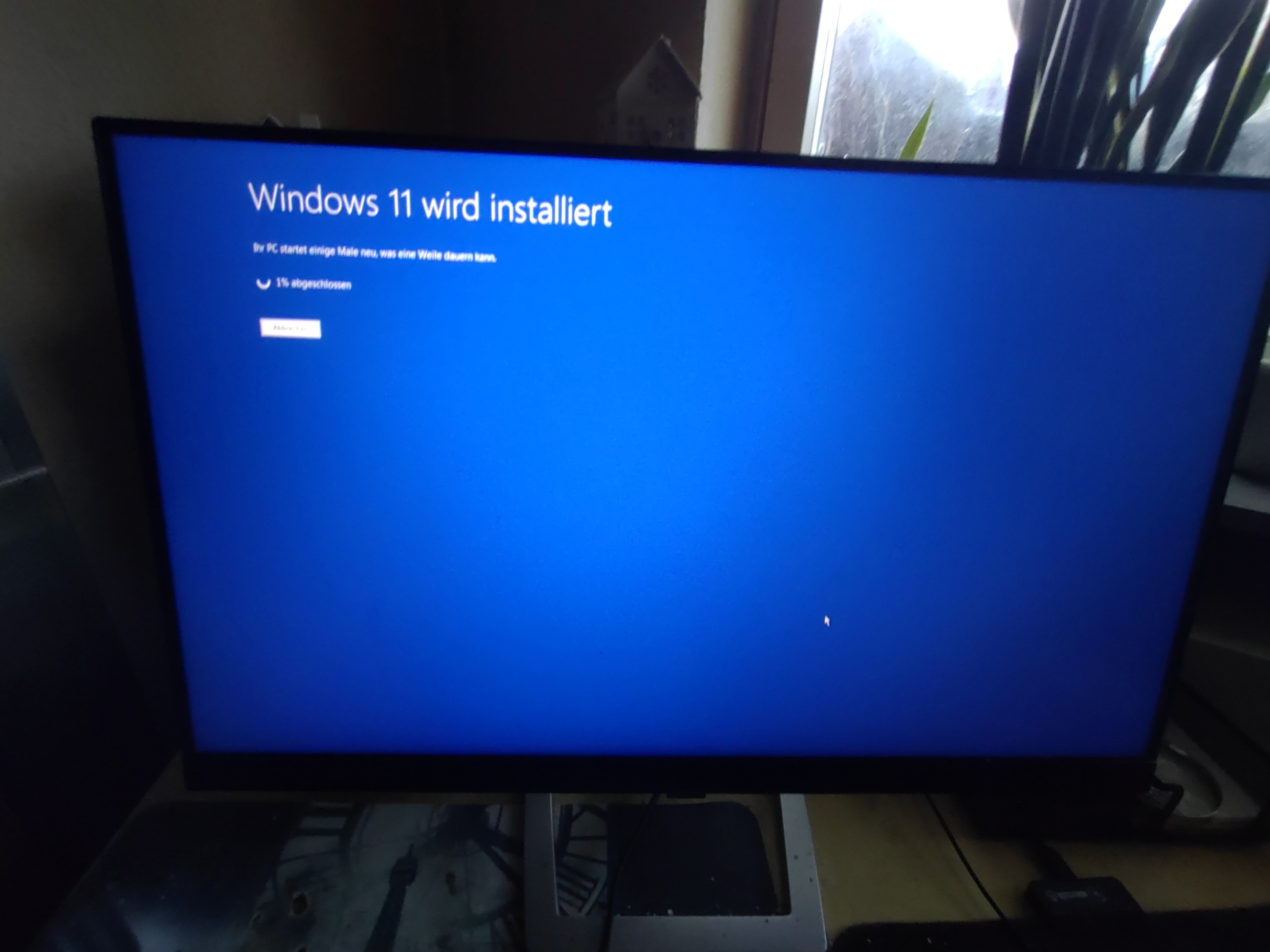 Windows 11 Insider die XV.