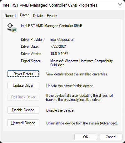 Leistungsmonitor: Ein Gerät hat den Status Nicht OK gemeldet (Intel RST VMD Managed Controller 09AB)