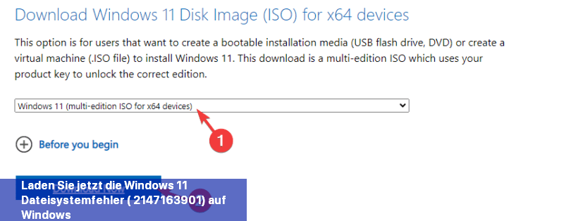 Laden Sie jetzt die Windows 11-Dateisystemfehler (-2147163901) auf Windows 11 herunter