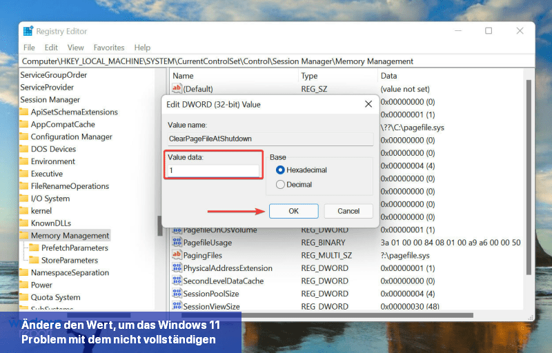 Ändere den Wert, um das Windows 11-Problem mit dem nicht vollständigen RAM zu beheben