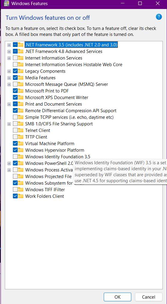 Windows 11 Hyper-V-Problem