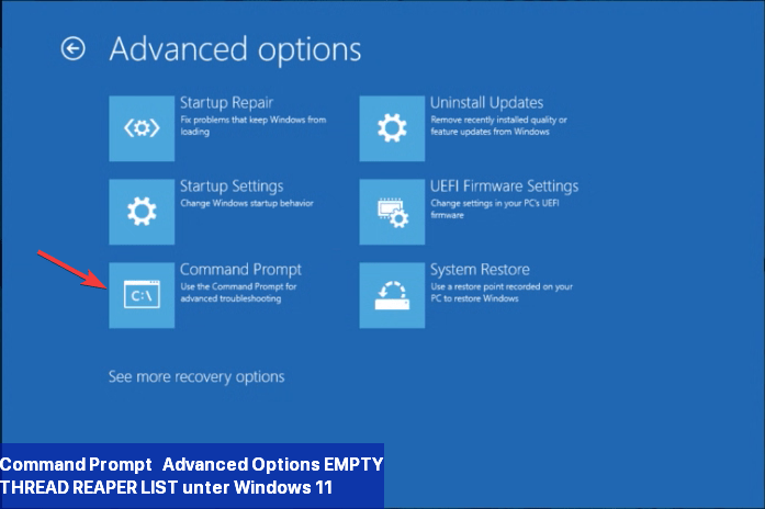 Command Prompt - Advanced Options EMPTY_THREAD_REAPER_LIST unter Windows 11