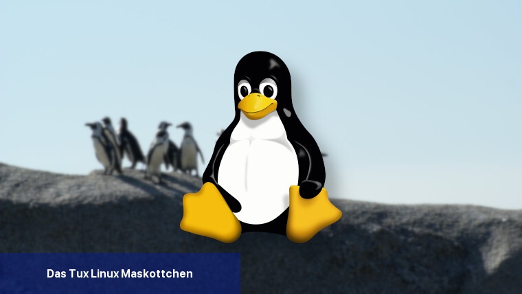 Das Tux Linux-Maskottchen