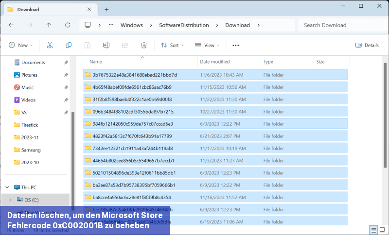 Dateien löschen, um den Microsoft Store-Fehlercode 0xC002001B zu beheben
