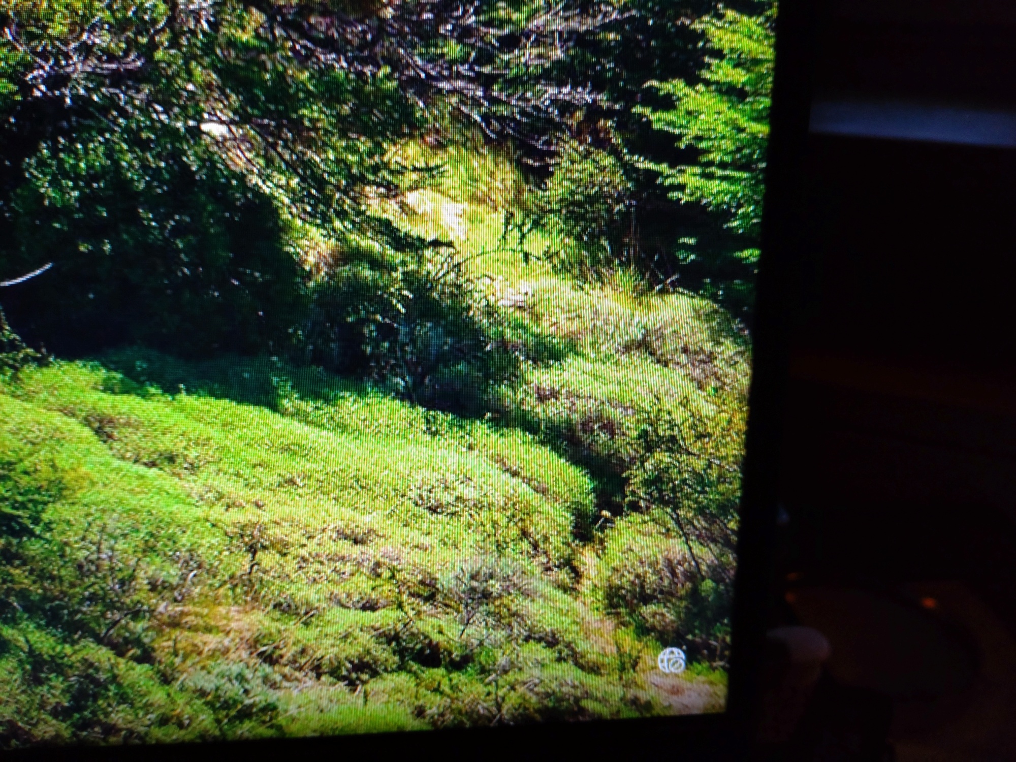 Anmeldung an Windows 11 erfordert Internetverbindung