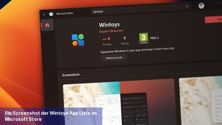 Ein Screenshot der Wintoys-App-Liste im Microsoft Store