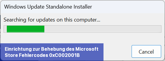 Einrichtung zur Behebung des Microsoft Store-Fehlercodes 0xC002001B