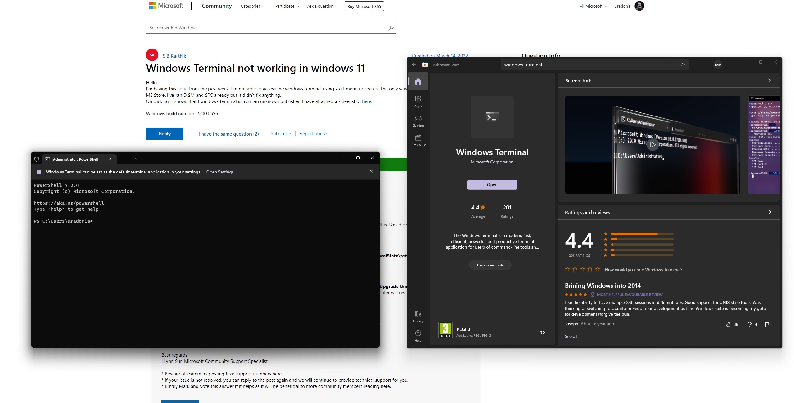 Windows Terminal funktioniert unter Windows 11 nicht