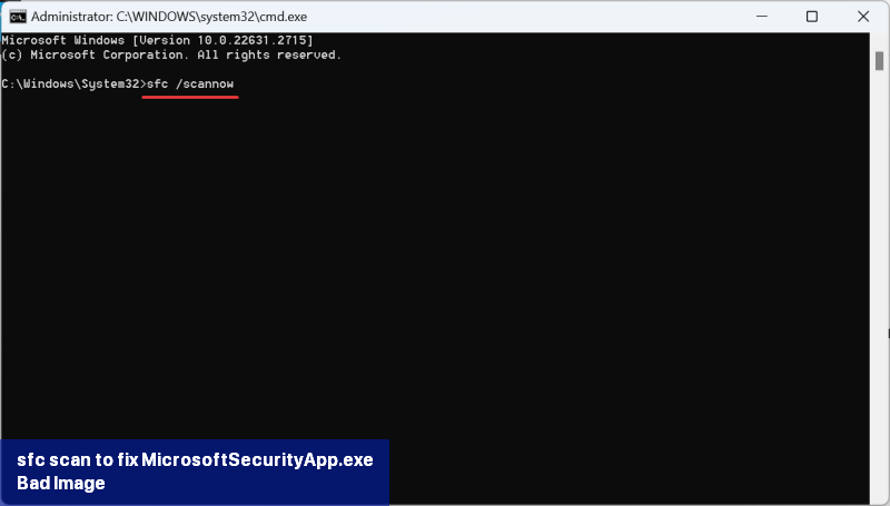 sfc scan to fix MicrosoftSecurityApp.exe Bad Image