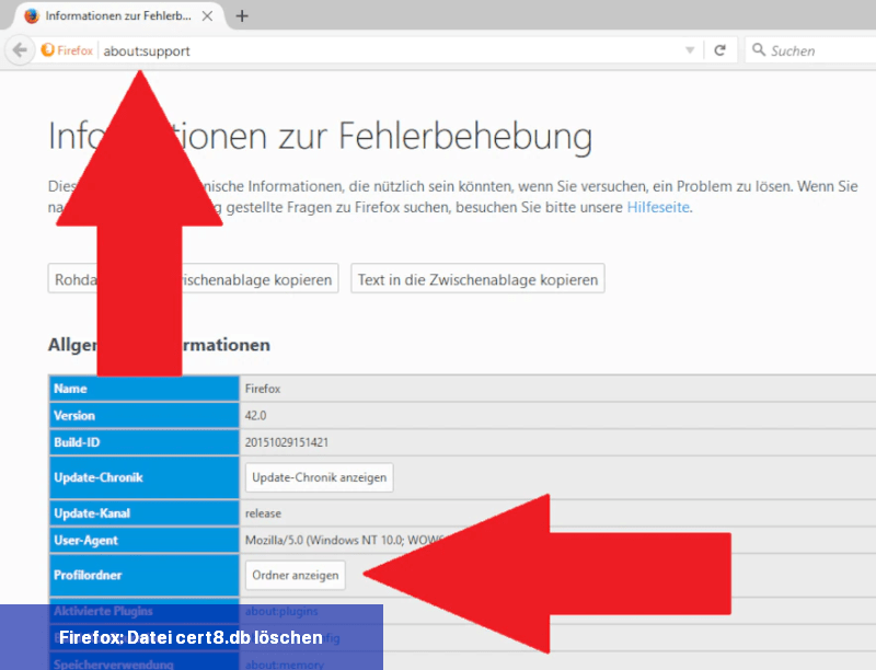 Firefox: Datei cert8.db löschen