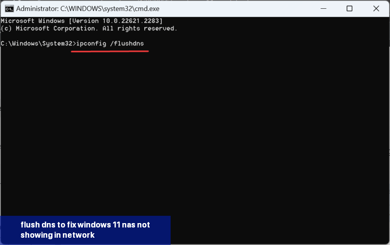 flush dns to fix windows 11 nas not showing in network