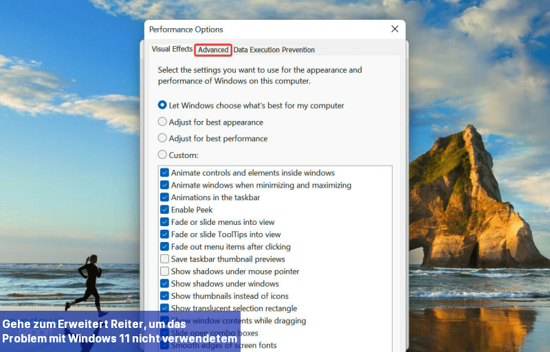 Gehe zum Erweitert-Reiter, um das Problem mit Windows 11 nicht verwendetem Arbeitsspeicher zu beheben