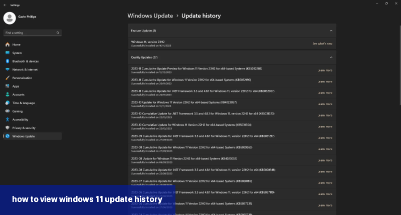 how to view windows 11 update history