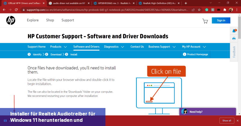 Installer für Realtek-Audiotreiber für Windows 11 herunterladen und starten