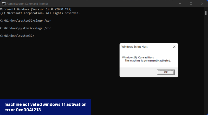 machine-activated windows 11 activation error 0xc004f213