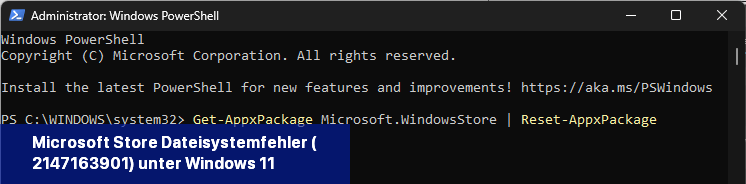 Microsoft Store Dateisystemfehler (-2147163901) unter Windows 11 zurücksetzen
