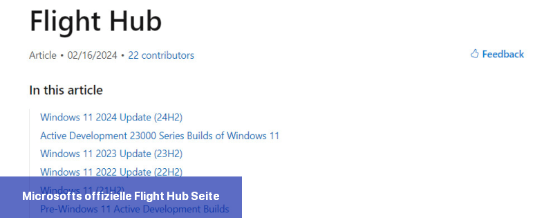 Microsofts offizielle Flight Hub-Seite