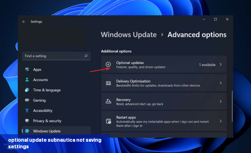optional-update subnautica not saving settings