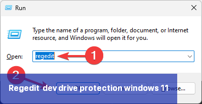 Regedit -dev drive protection windows 11