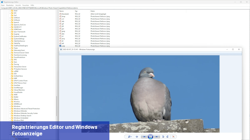 Registrierungs-Editor und Windows-Fotoanzeige