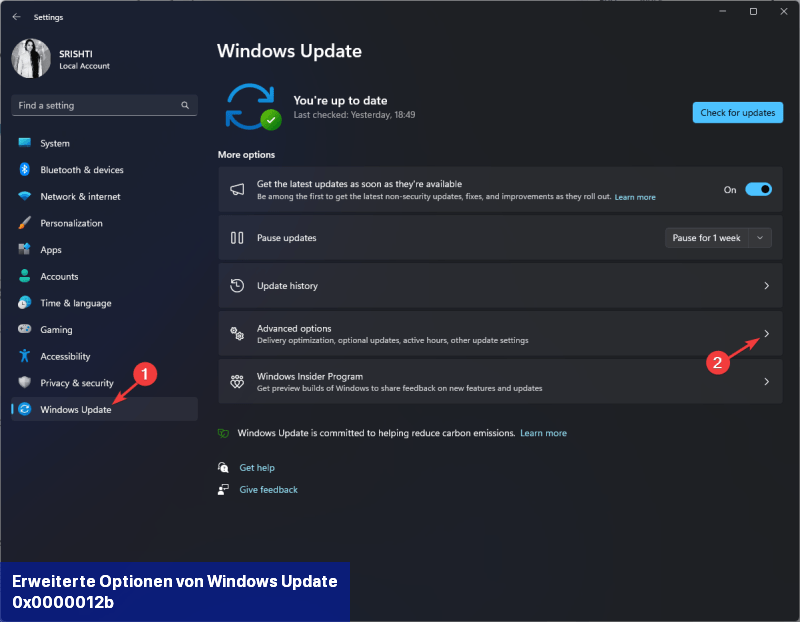 Erweiterte Optionen von Windows Update 0x0000012b