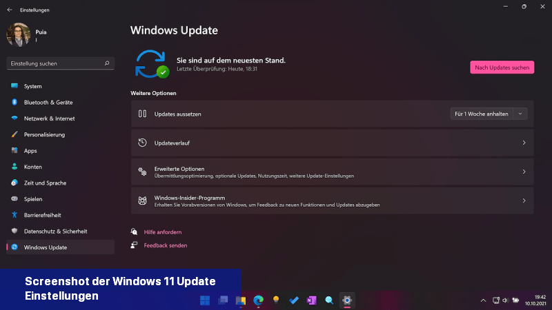 Screenshot der Windows 11 Update Einstellungen