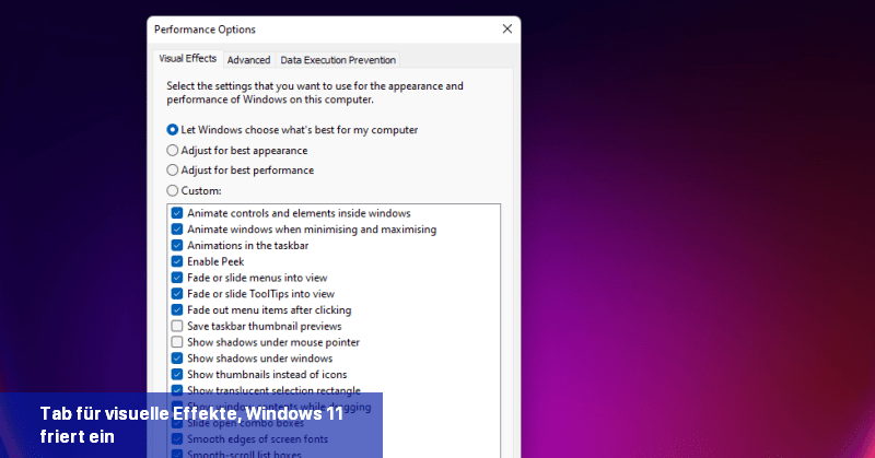Tab für visuelle Effekte, Windows 11 friert ein