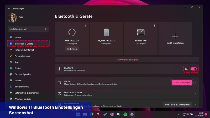 Windows 11 Bluetooth Einstellungen Screenshot