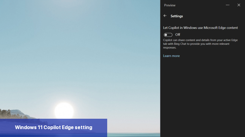 Windows 11 Copilot Edge setting