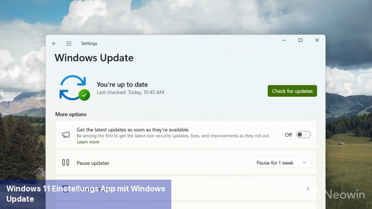 Windows 11 Einstellungs-App mit Windows Update