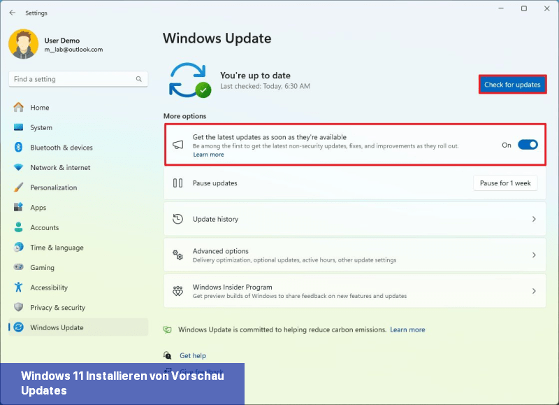 Windows 11 Installieren von Vorschau-Updates