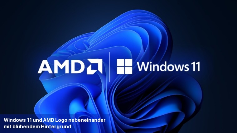 Windows 11 und AMD-Logo nebeneinander mit blühendem Hintergrund