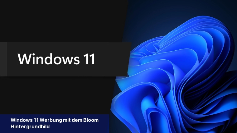 Windows 11 Werbung mit dem Bloom-Hintergrundbild