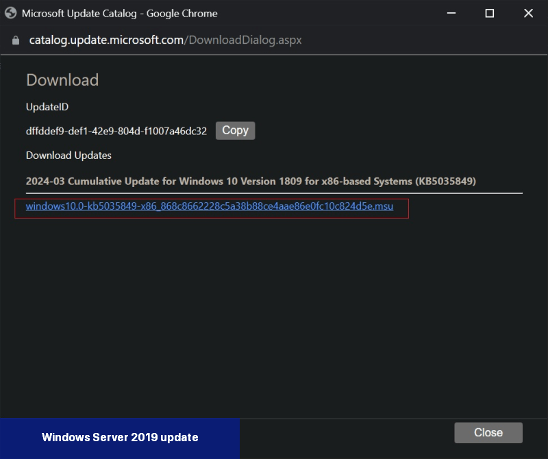 Windows Server 2019 update