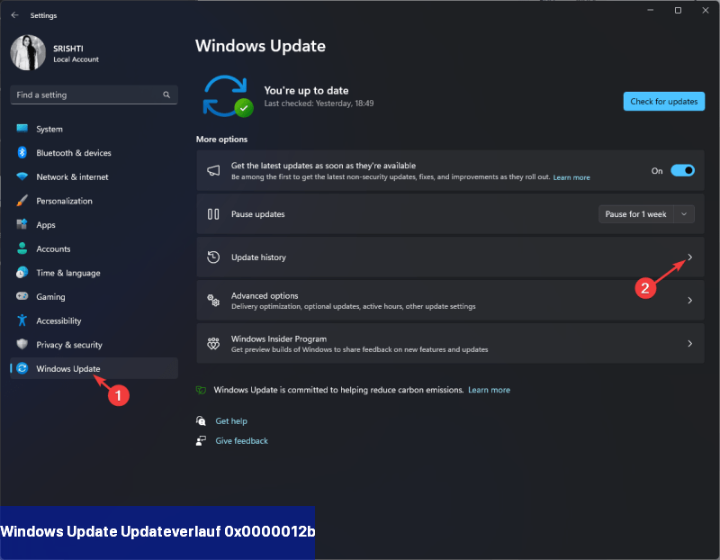Windows Update Updateverlauf 0x0000012b